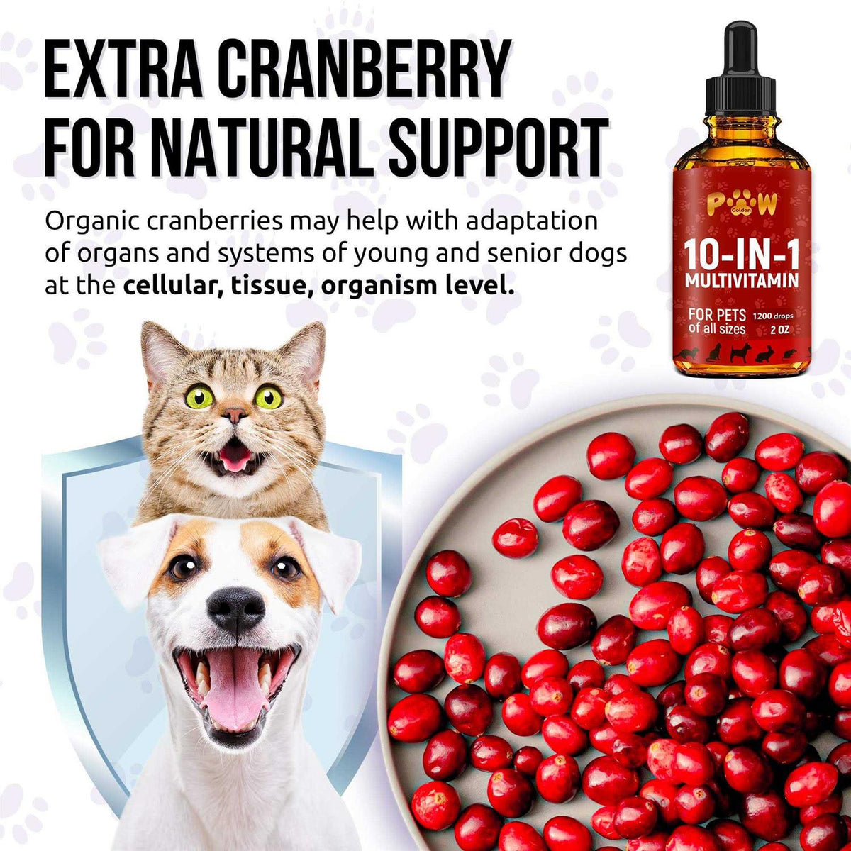 10 In 1 Cat & Dog Multivitamin Hip & Joint Vitamins W115