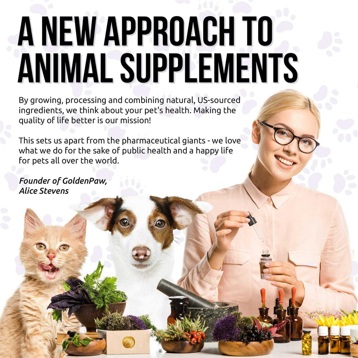 10 In 1 Cat & Dog Multivitamin Hip & Joint Vitamins W115